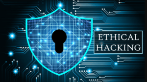 Ethical Hacking online training with virtual participants learning penetration testing, vulnerability assessment, and cybersecurity attack techniques.