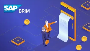 SAP Brim