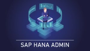 SAP HANA Admin online training session with virtual participants managing databases and monitoring system dashboards remotely.