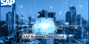 SAP BDC online training with participants learning automated data upload in SAP systems using virtual collaboration tools.